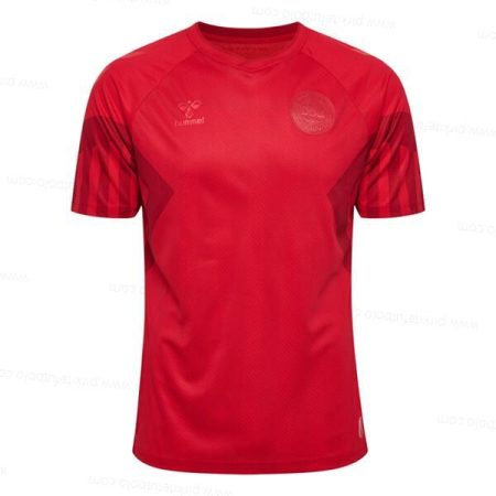Danija Home Futbolo marškinėliai 2022